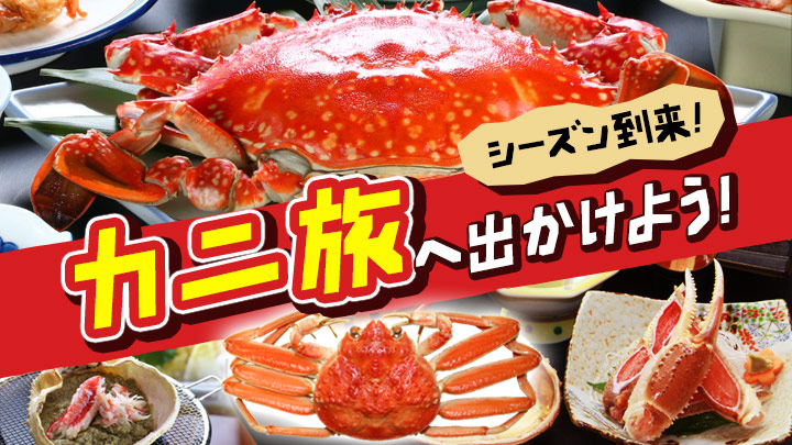 2010_kani_720x405px