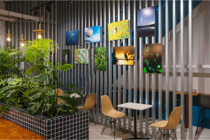 cafe&stay notA