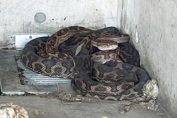 ハブの館