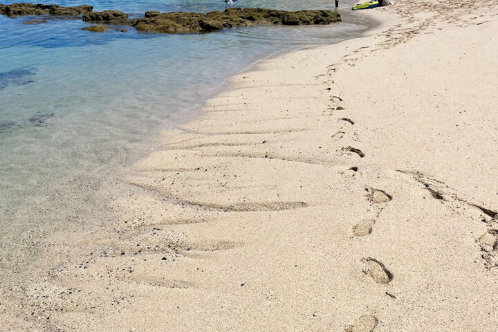 土盛海岸