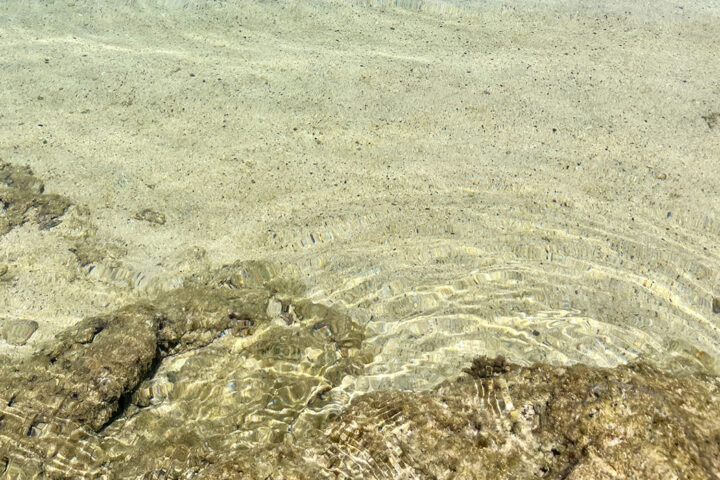 土盛海岸