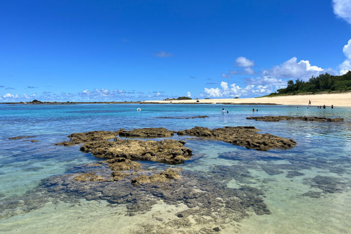 土盛海岸